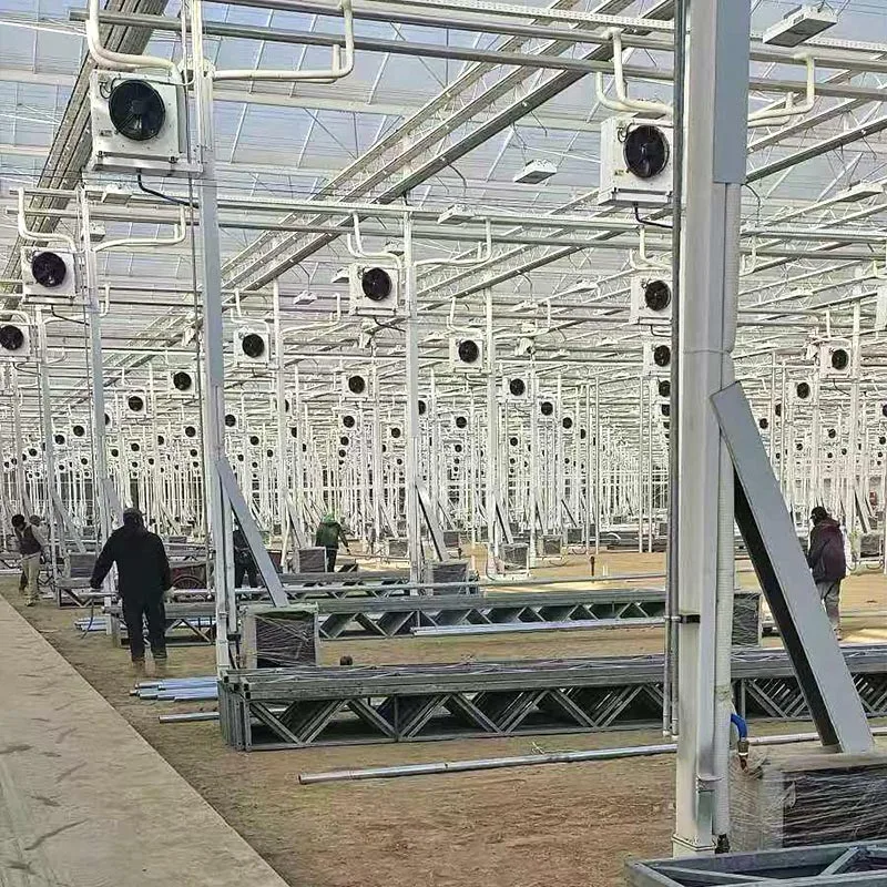 Greenhouse of Vegetables